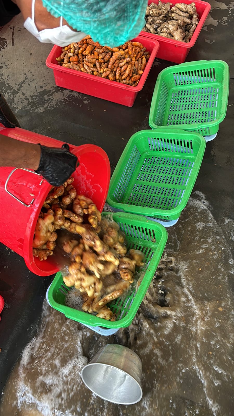 Nohyoghi Company Gallery 1